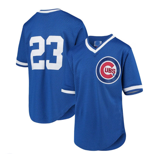 Chicago Cubs #23 Ryne Sandberg Mitchell & Ness Youth Cooperstown Collection Mesh Batting Practice Jersey - Royal Baseball Jerseys - Main View