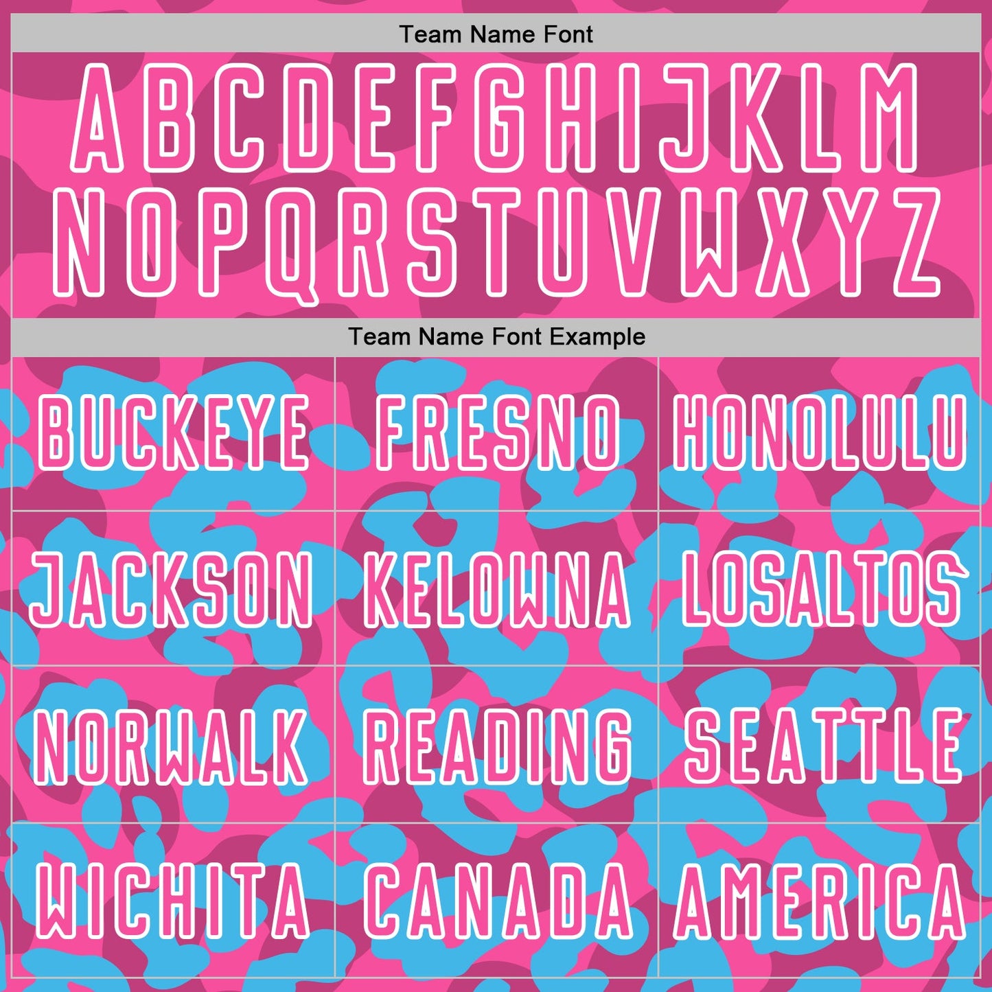 Custom Sky Blue Pink-White Animal Leopard Print Sports Sublimation Soccer Uniform Jersey view 5