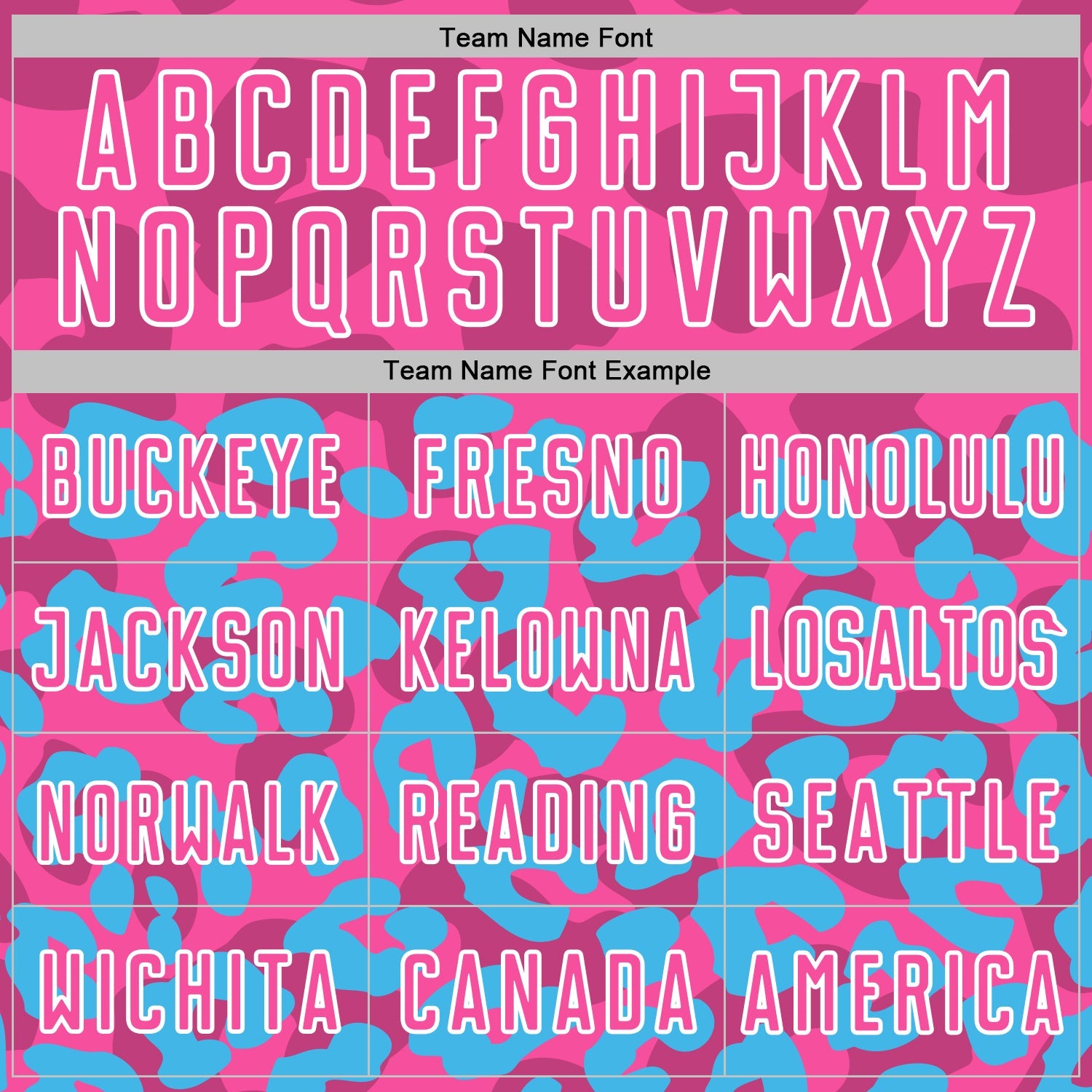 Custom Sky Blue Pink-White Animal Leopard Print Sports Sublimation Soccer Uniform Jersey view 5