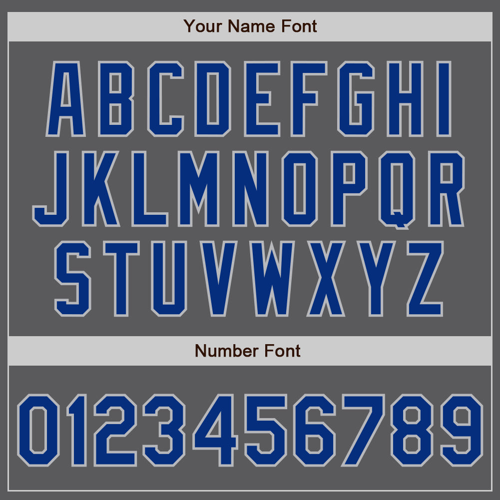 Custom Steel Gray Royal-Gray Authentic Baseball Jersey view 5