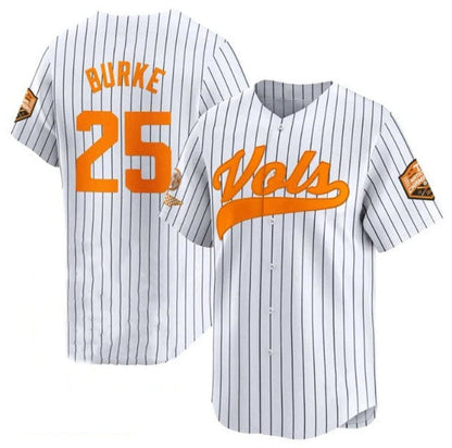 T.Volunteers #25 Blake Burke White Pinstripe 2024 Champions Vapor Limited Stitched College Jerseys - Main View