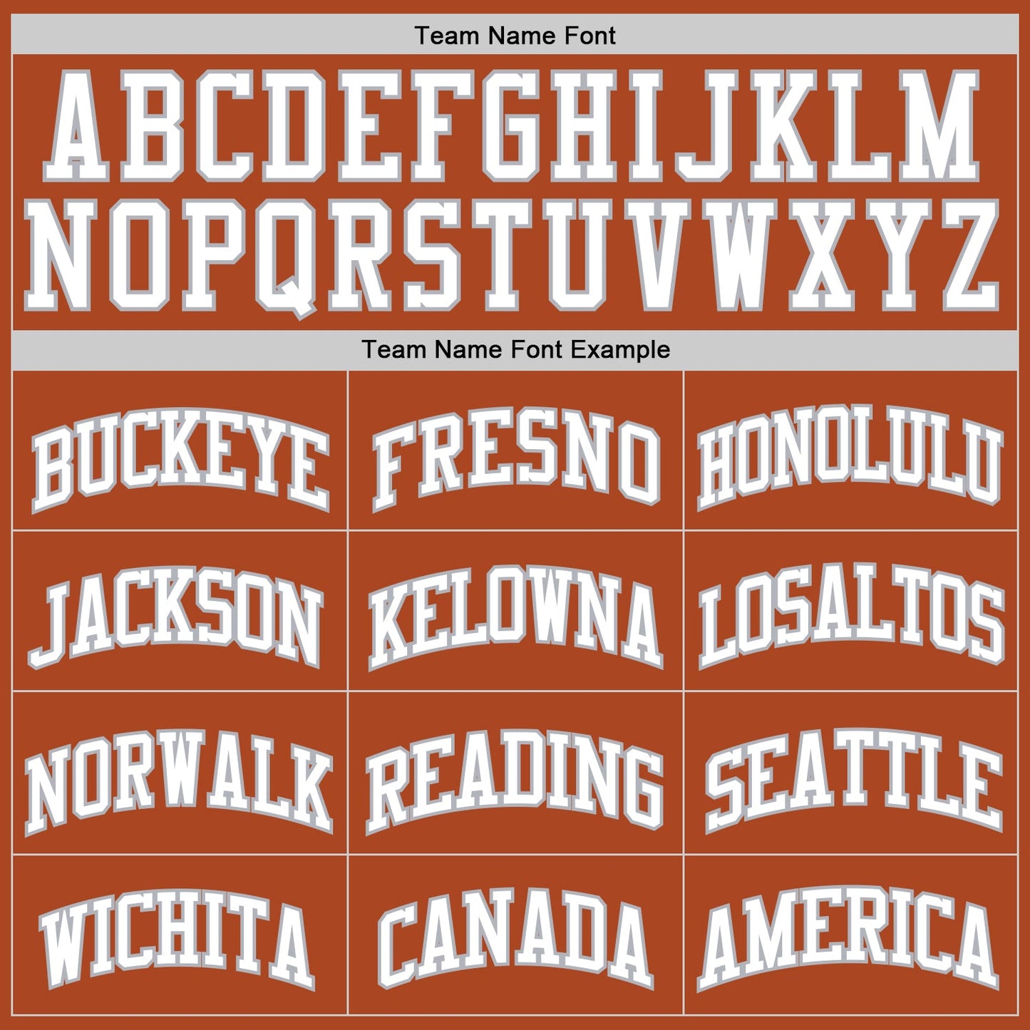 Custom Texas Orange White-Gray Authentic Basketball Jersey view 3
