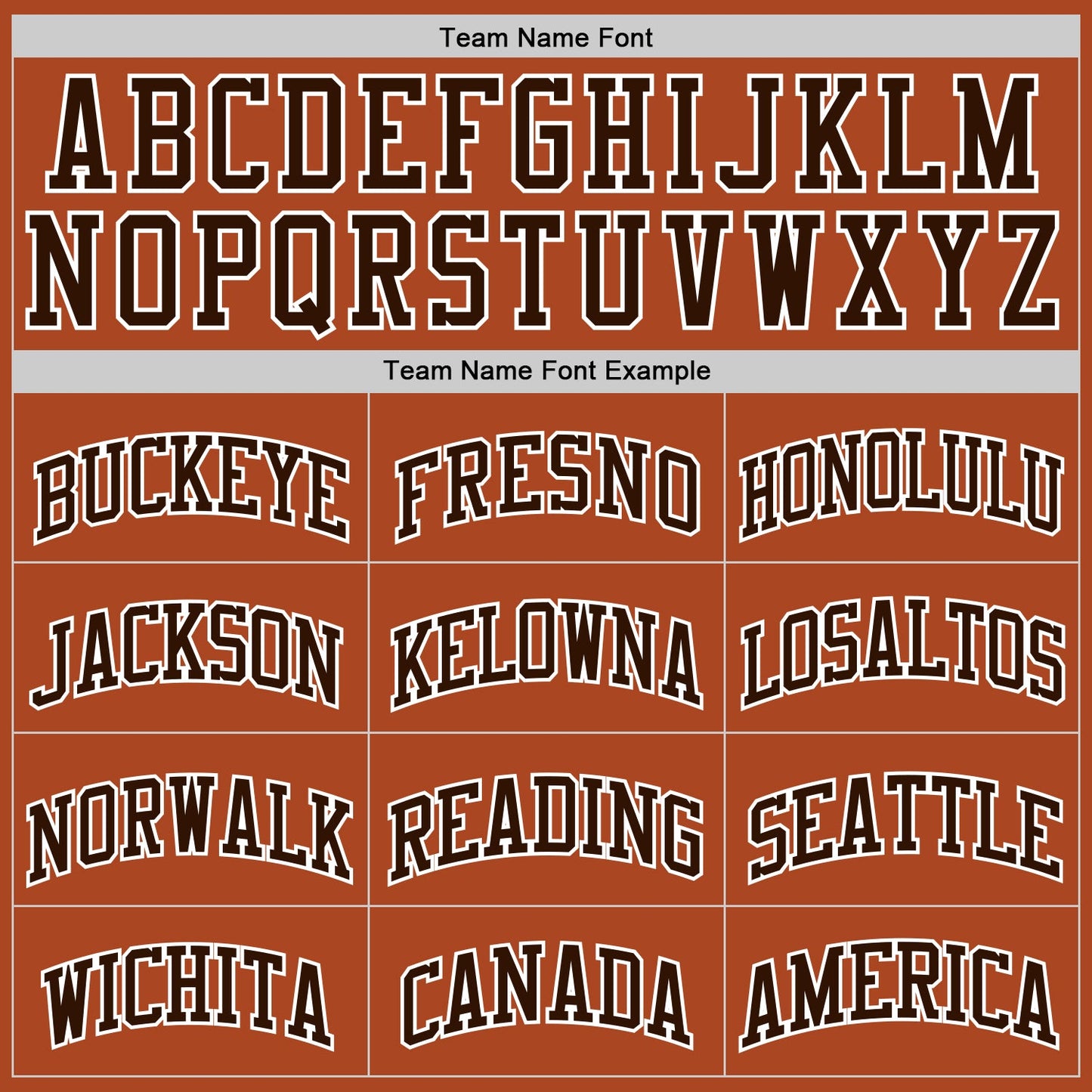 Custom Texas Orange Brown-White Authentic Basketball Jersey view 3
