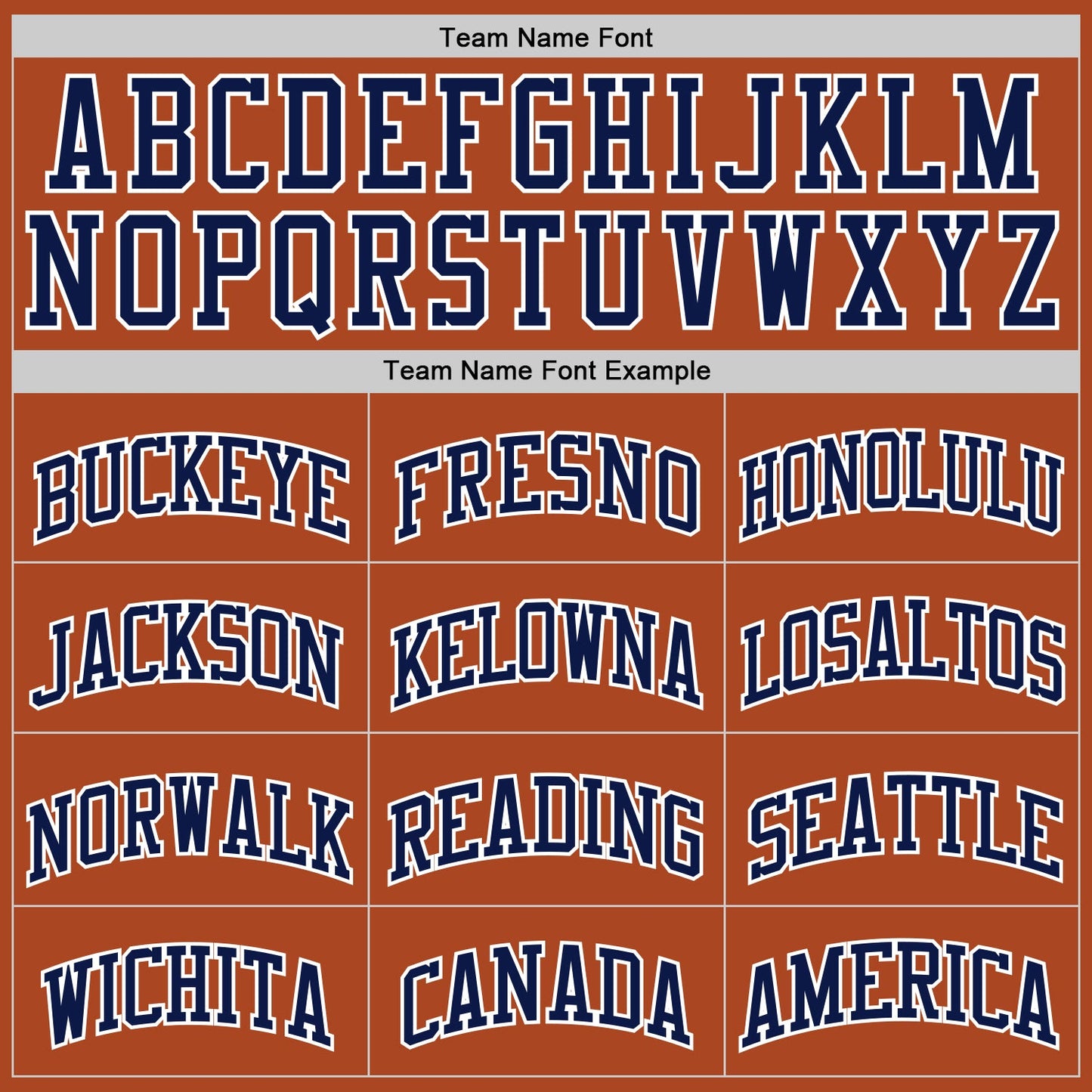 Custom Texas Orange Navy-White Authentic Basketball Jersey view 3