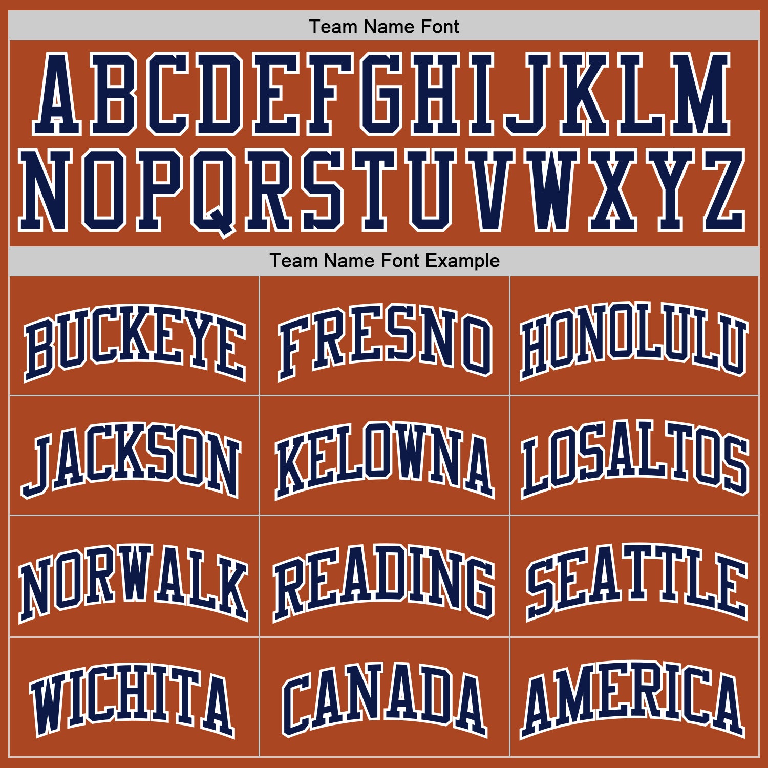 Custom Texas Orange Navy-White Authentic Basketball Jersey view 3