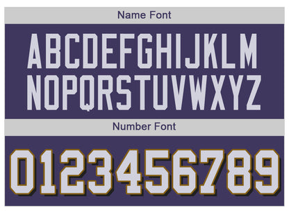 Custom B.Raven Men's American Purple Vapor Limited Stitched Football Jersey view 5