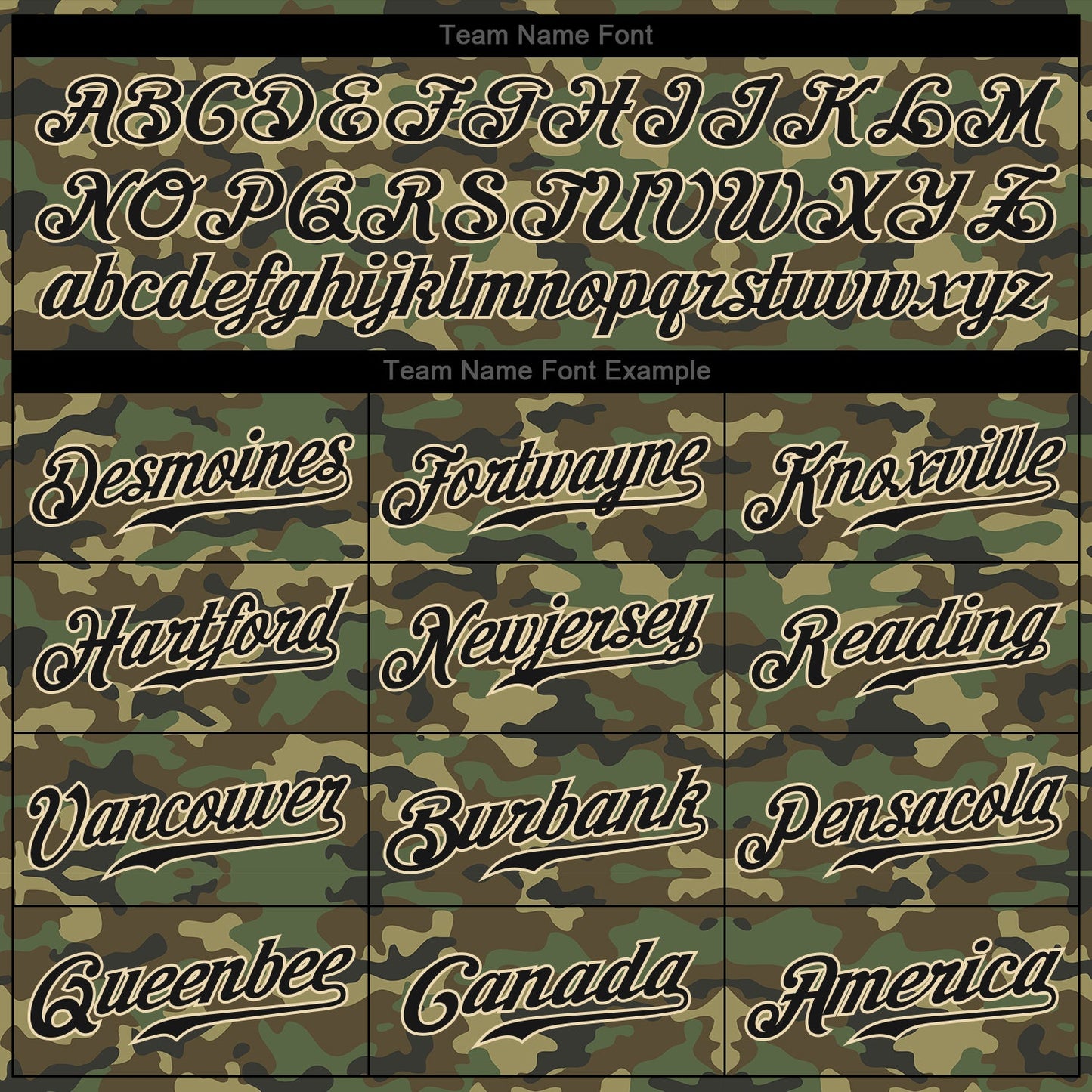 Custom Camo Black-Cream Performance Salute To Service T-Shirt view 3