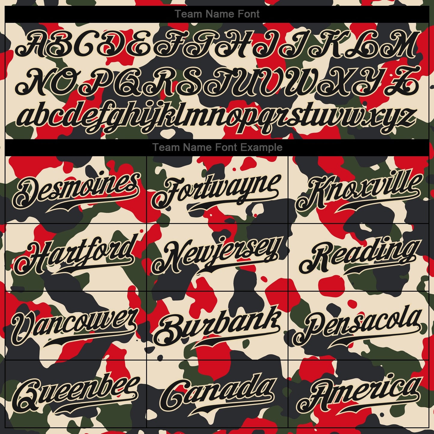 Custom Camo Black-Cream Performance Salute To Service T-Shirt view 3