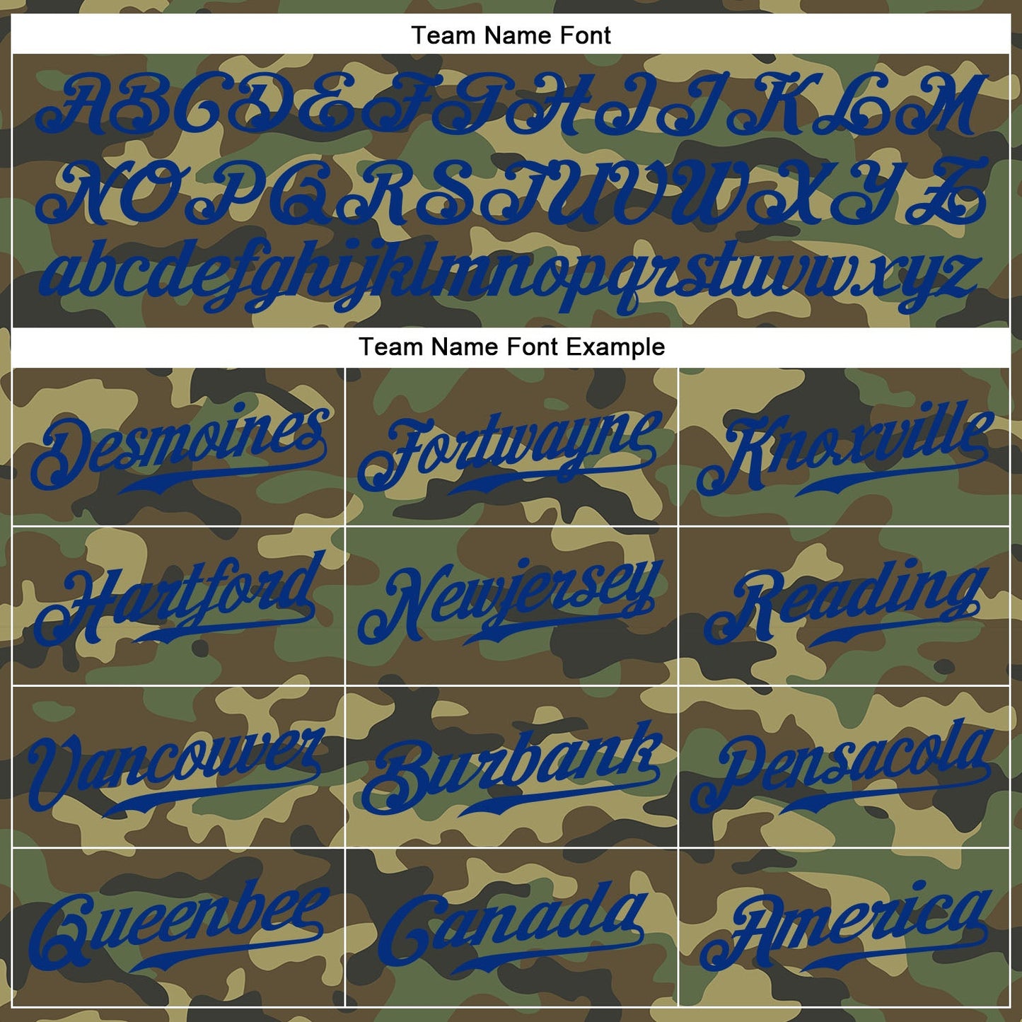 Custom Camo Royal-Red Authentic Salute To Service Baseball Jersey view 4