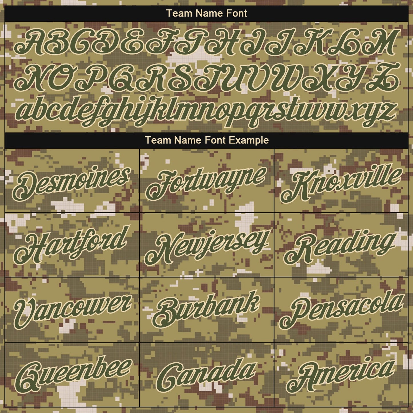 Custom Camo Olive-Cream Performance Salute To Service T-Shirt view 3