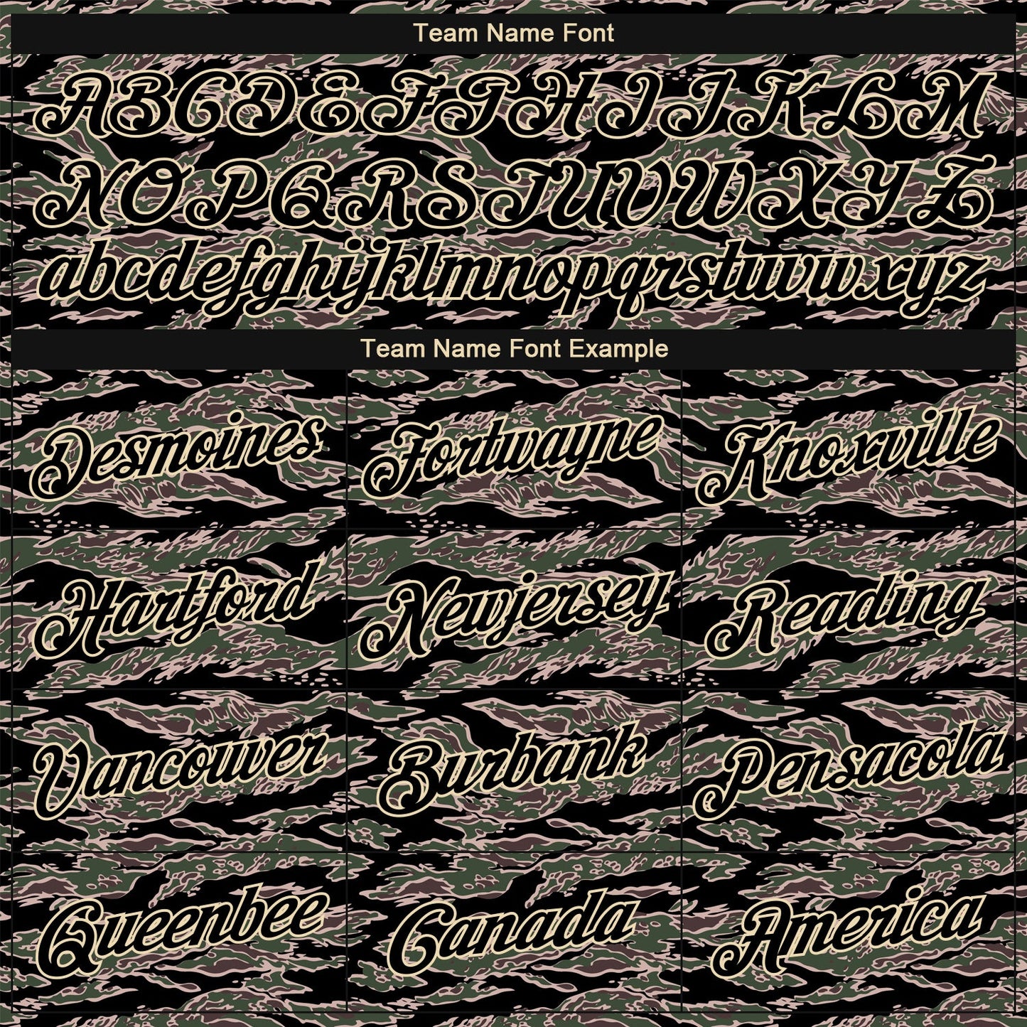 Custom Camo Black-Cream Performance Salute To Service T-Shirt view 3