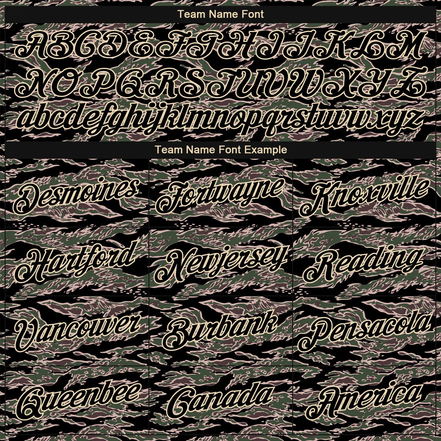 Custom Camo Black-Cream Performance Salute To Service T-Shirt view 3